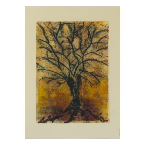 Albero Al Tramonto