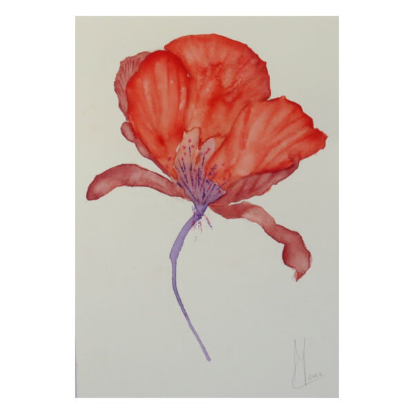 Flower #5