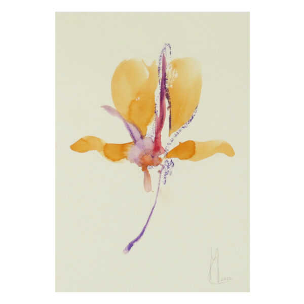 Flower #12