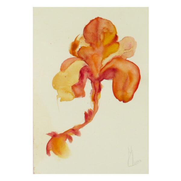 Flower #11