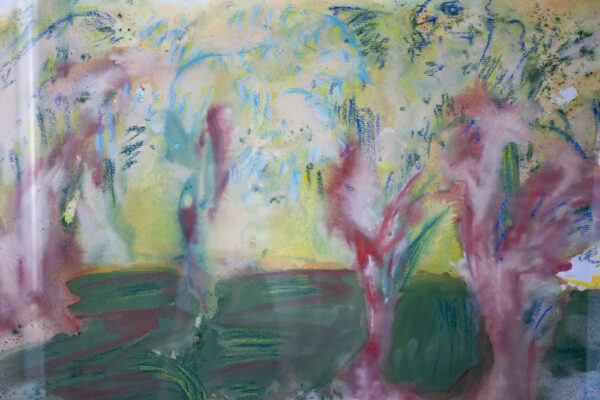 Rapaci - immagine 2