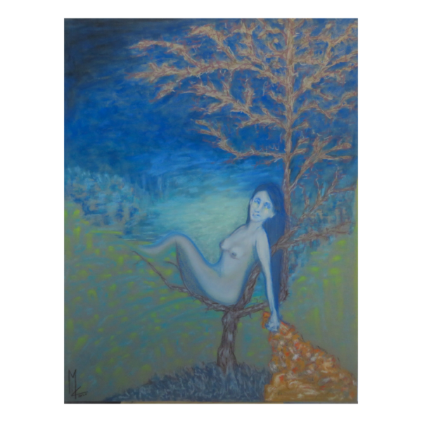 Coperta Di Foglie Nella Notte