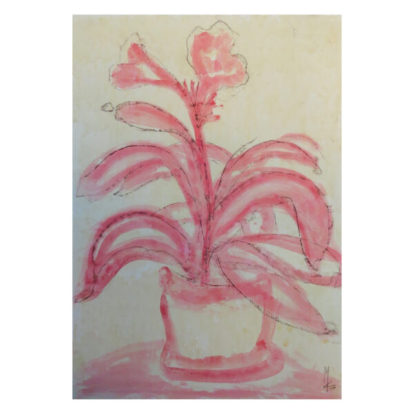 Vaso Di Pianta Ficus Rosa Giallo