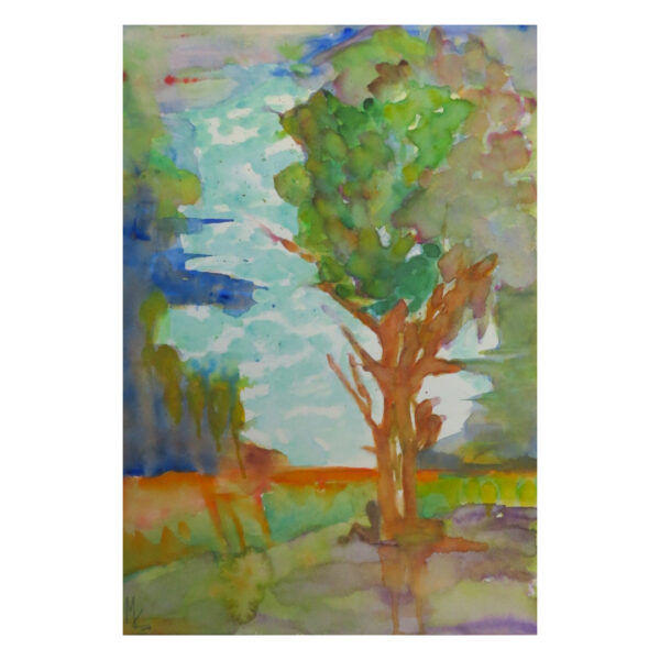 Albero Nel Lungolago Di Sirmione