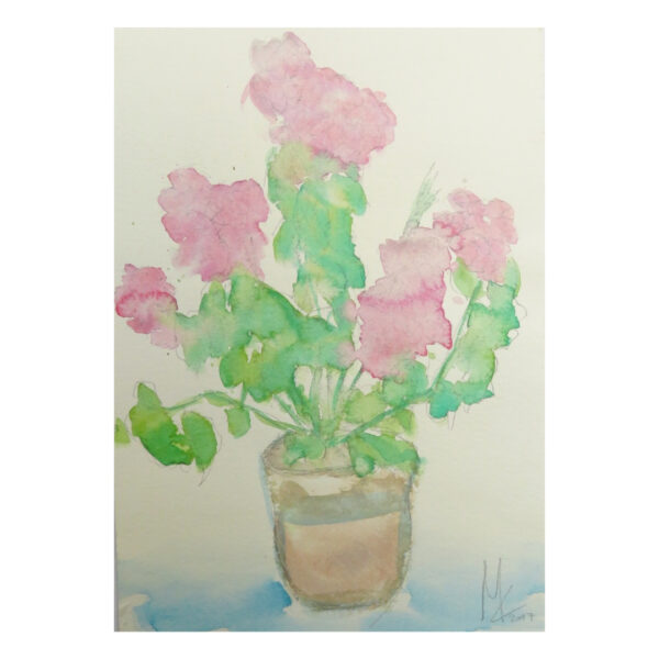 Vaso Di Geranei Rosa